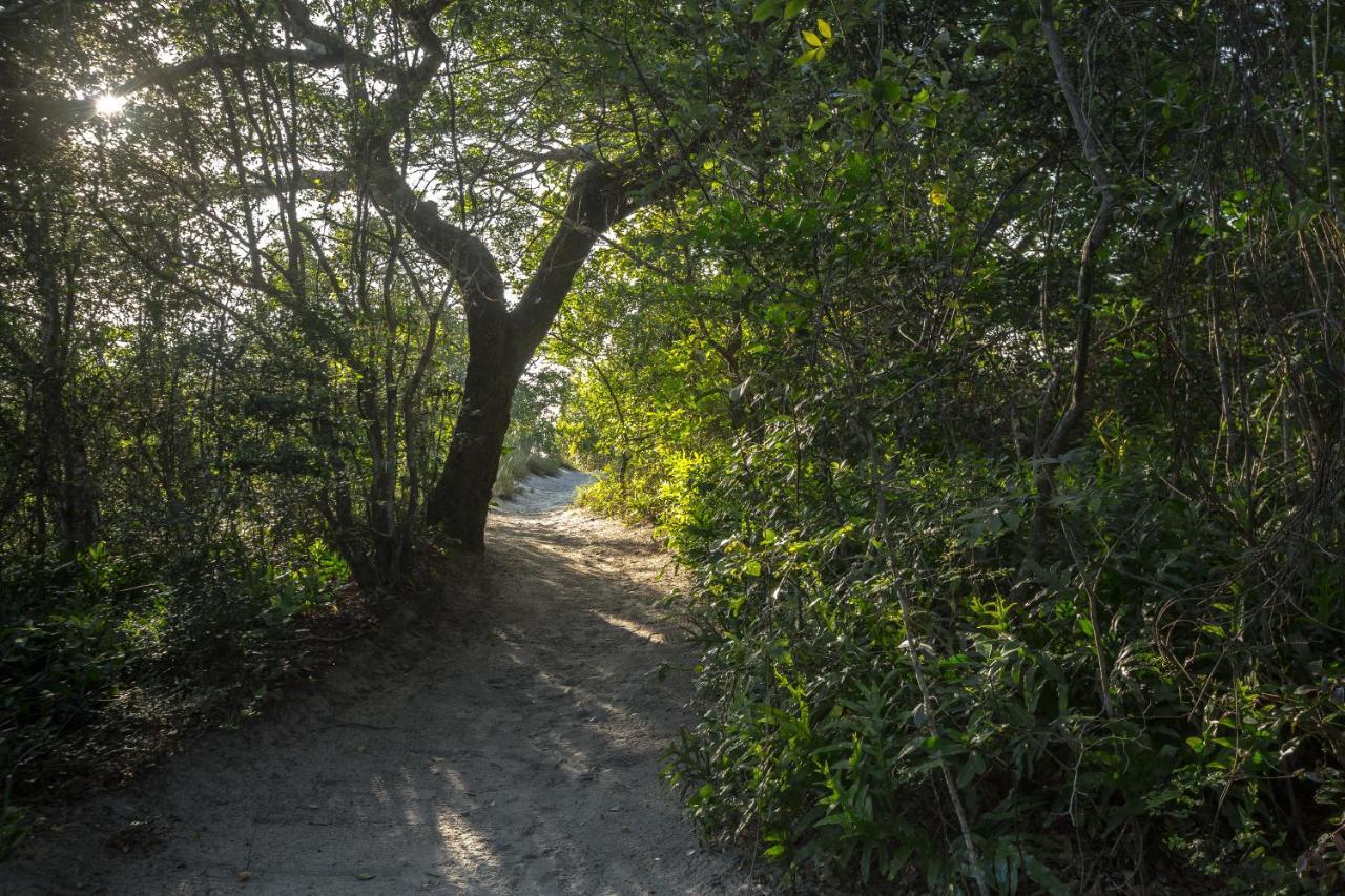 Kosi Forest Lodge Manguzi Екстериор снимка