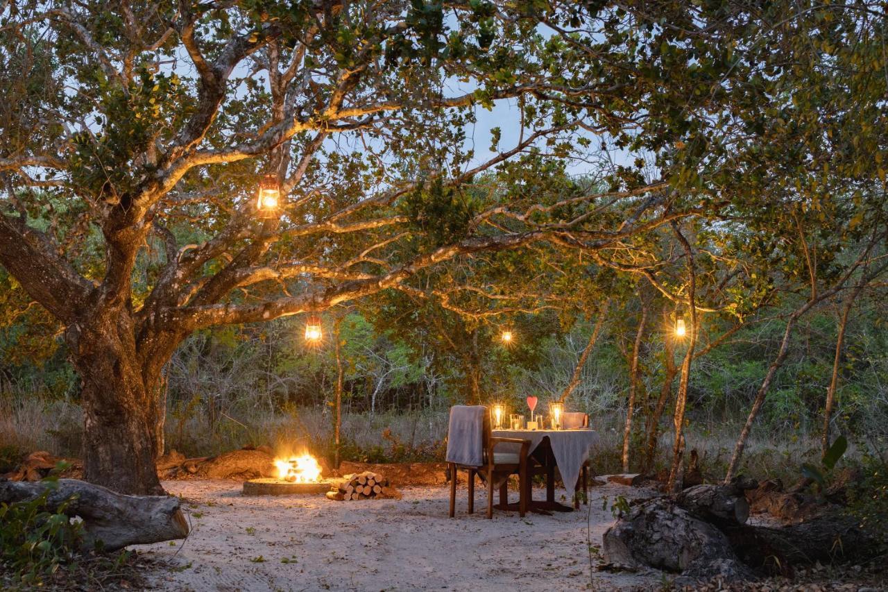 Kosi Forest Lodge Manguzi Екстериор снимка