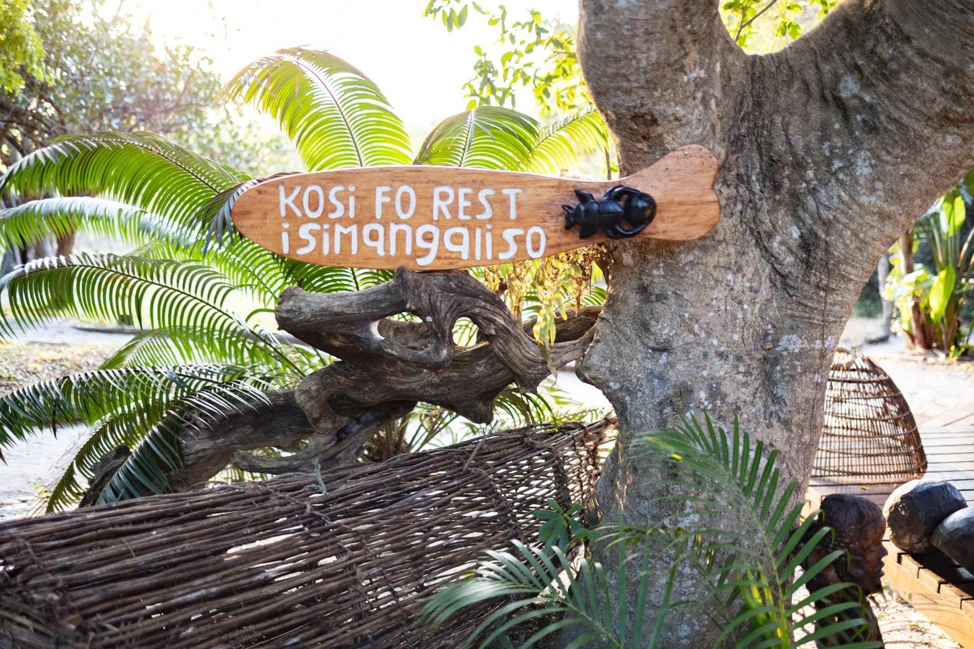 Kosi Forest Lodge Manguzi Екстериор снимка