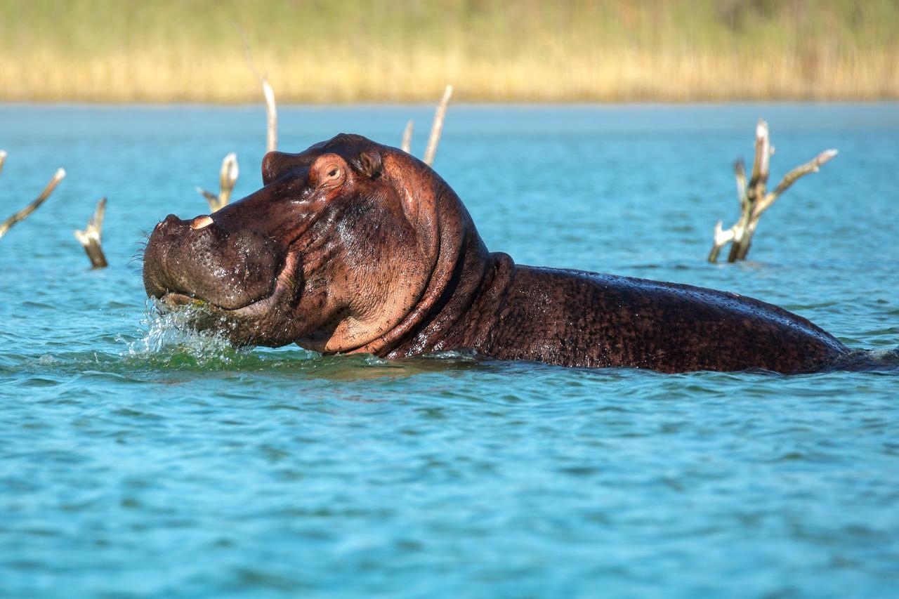 Kosi Forest Lodge Manguzi Екстериор снимка