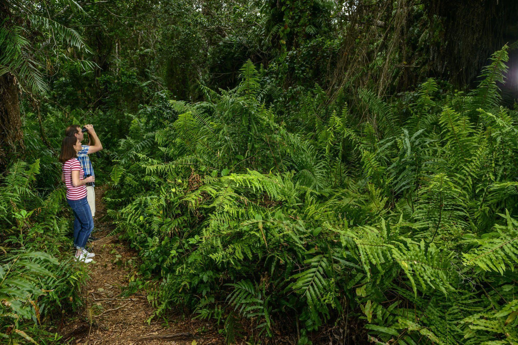 Kosi Forest Lodge Manguzi Екстериор снимка