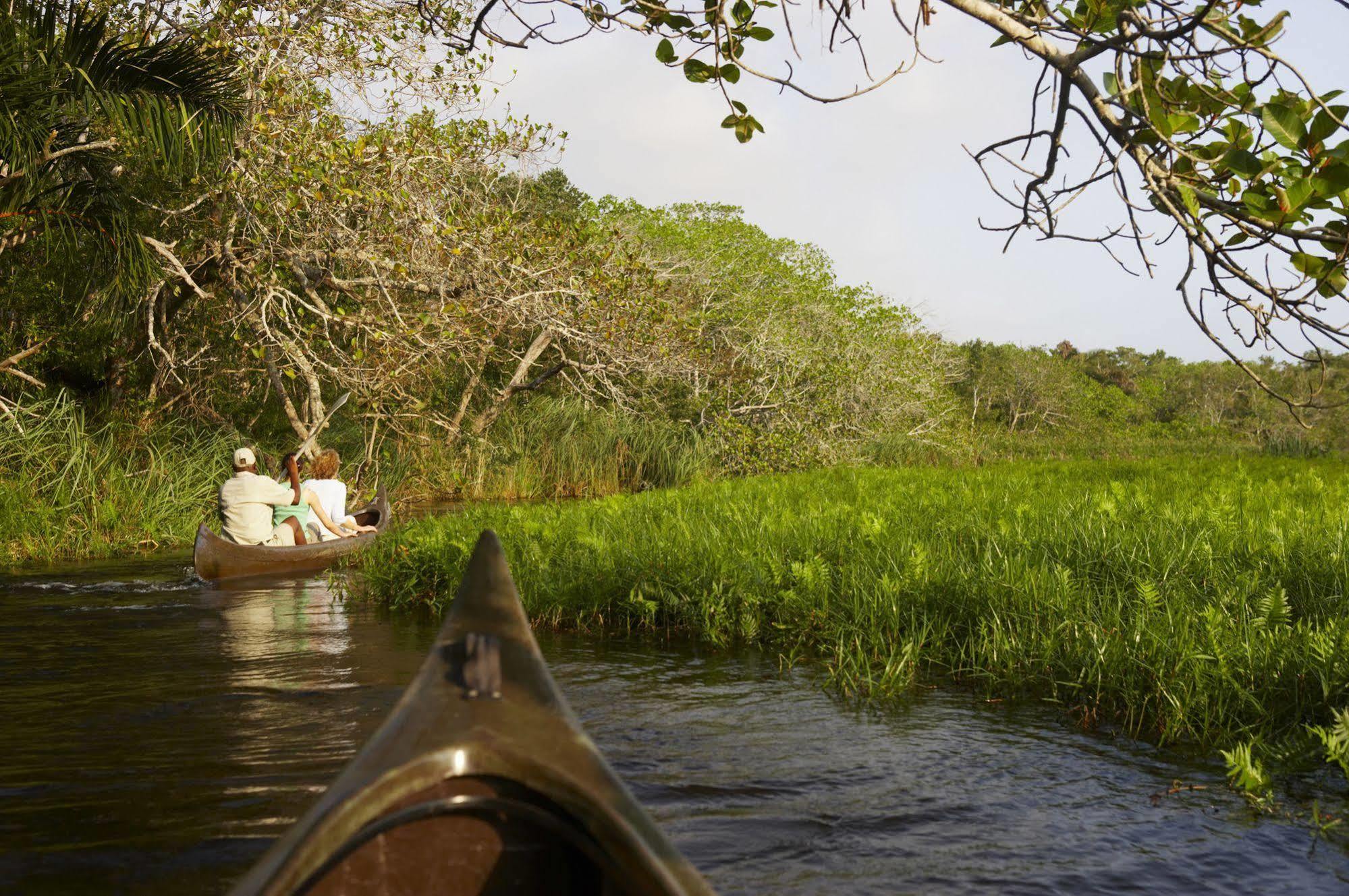 Kosi Forest Lodge Manguzi Екстериор снимка