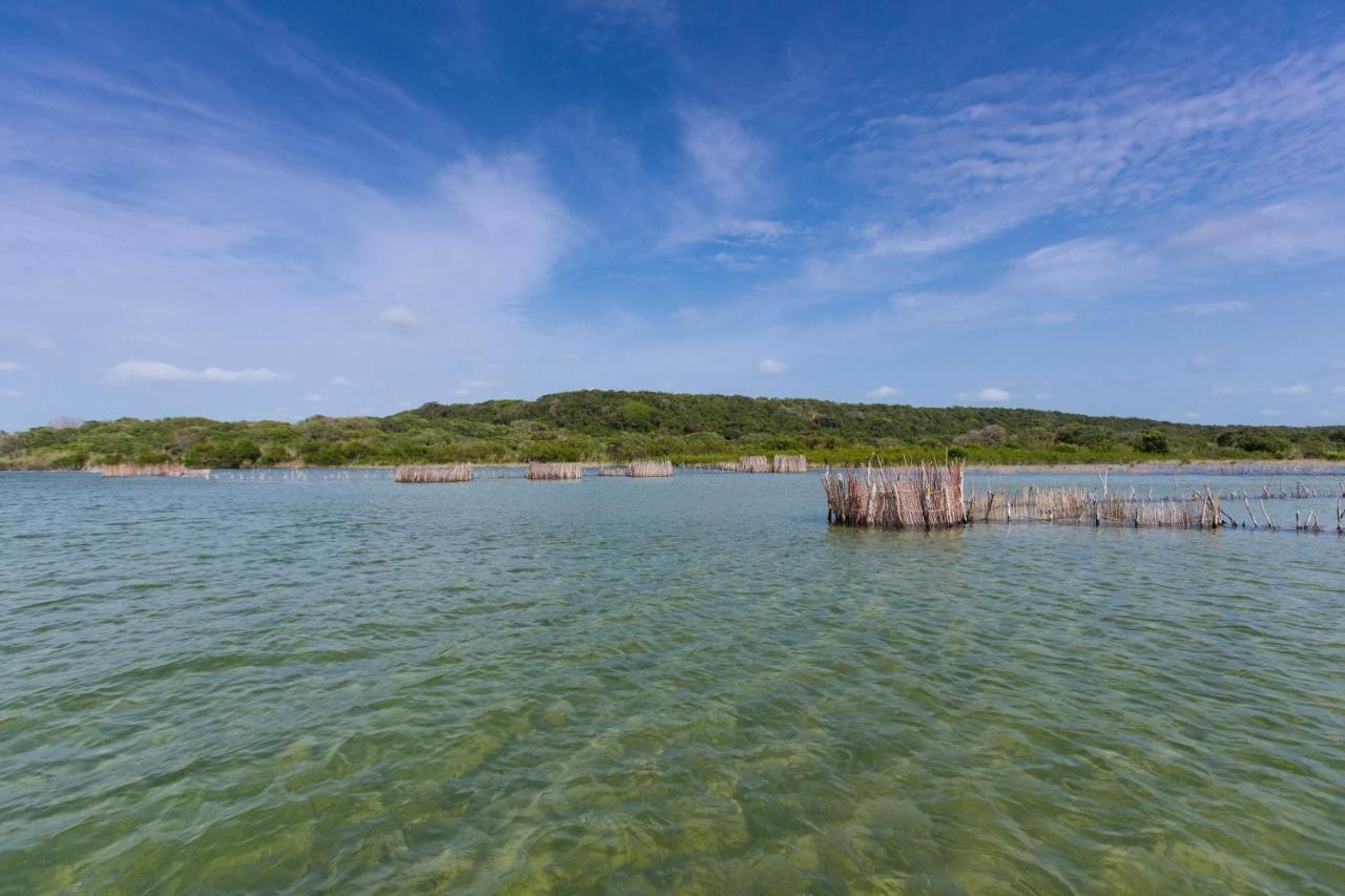 Kosi Forest Lodge Manguzi Екстериор снимка