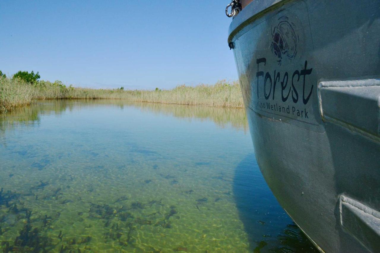 Kosi Forest Lodge Manguzi Екстериор снимка