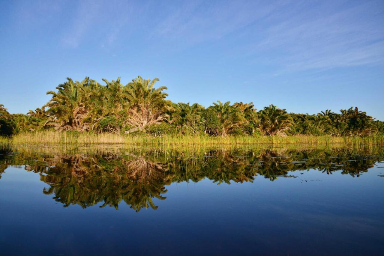 Kosi Forest Lodge Manguzi Екстериор снимка